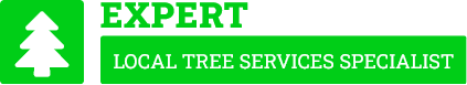 Palmerston North Tree Care - Tree Removal Palmerston North